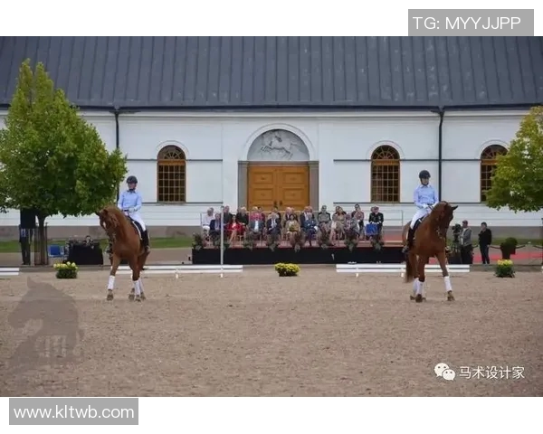 瑞士与日本足球赛场地分析及观赛体验探讨